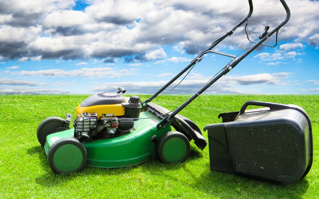 5 façons de garder votre gazon vert toute l’année !