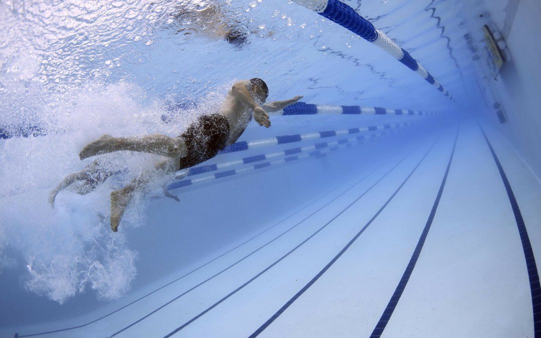 La piscine devient l’équipement indispensable du jardin