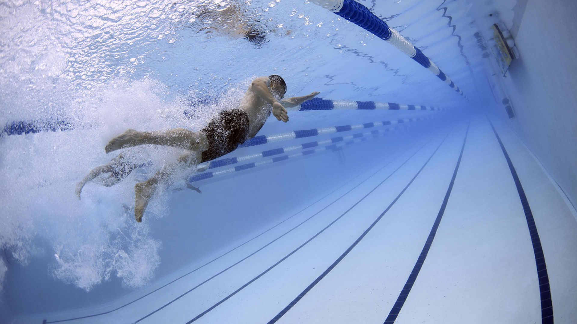 La piscine devient l’équipement indispensable du jardin