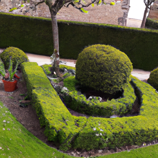 Les vertus des plantes sauvages pour l’entretien d’un jardin