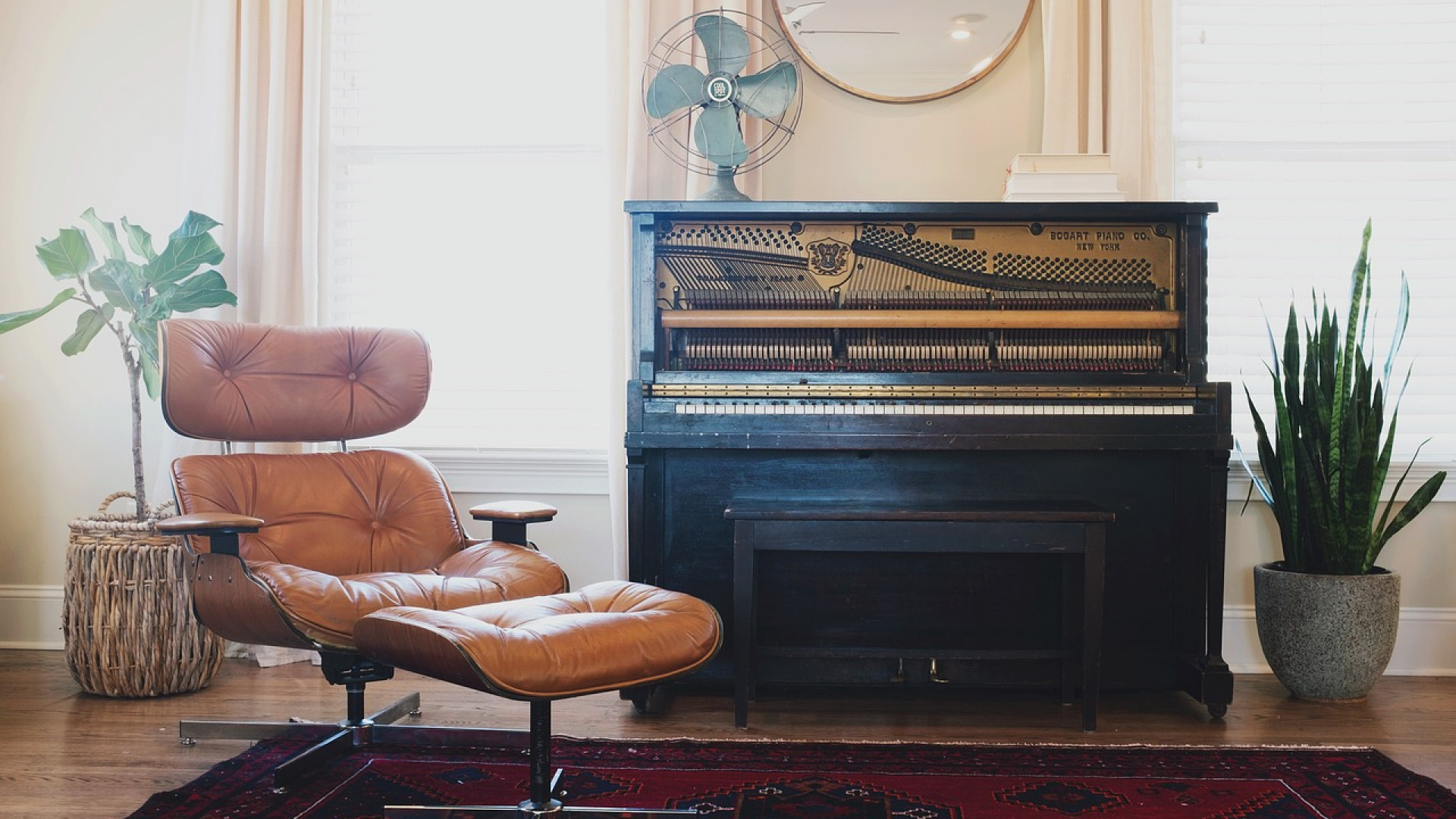 Le charme des tapis design : une touche d'élégance pour votre intérieur